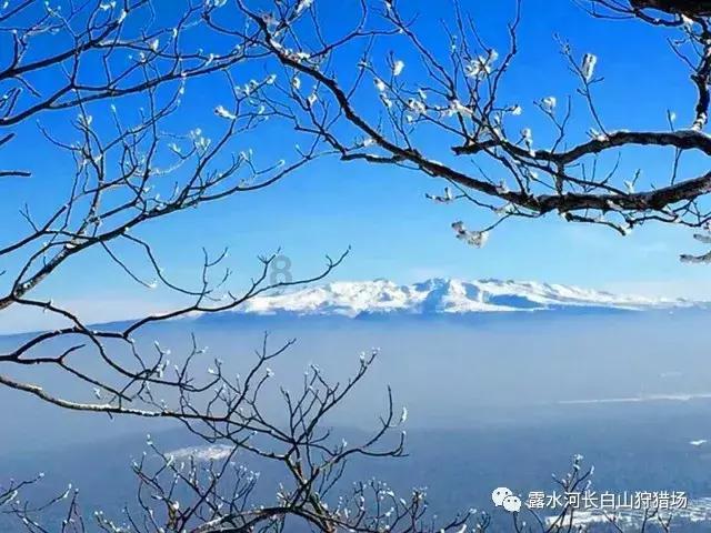 因业务档案不完整等,甘肃盛大保险代理合计被罚1.6万元