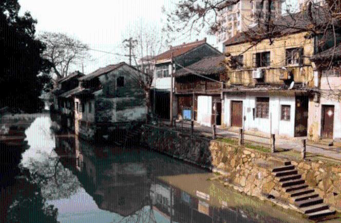 河北肥乡:农业农村高质量发展迈出坚实步伐